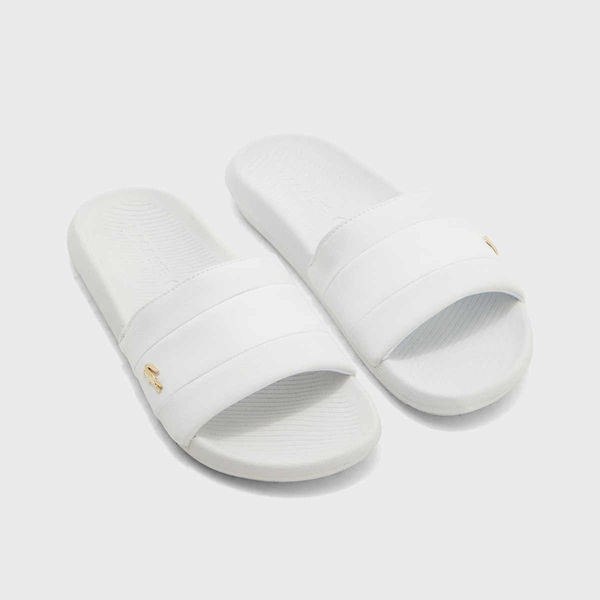 Buy Authentic Lacoste Croco Slide with Gold Croc - White — Jody 